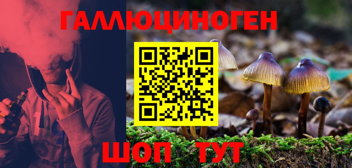Аша  Галлюциногенные грибы Cubensis  где можно купить наркотик  Псилоцибиновые грибы Cubensis  Вход с VPN 